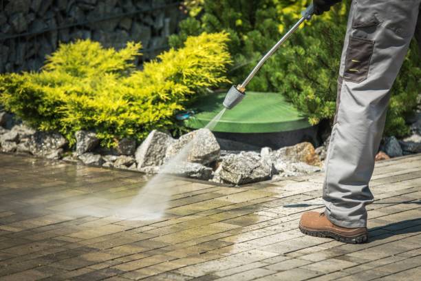 Best House Exterior Washing  in North Pearsall, TX