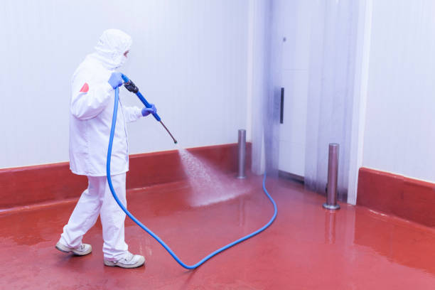 Best Pre-Holiday Cleaning  in North Pearsall, TX