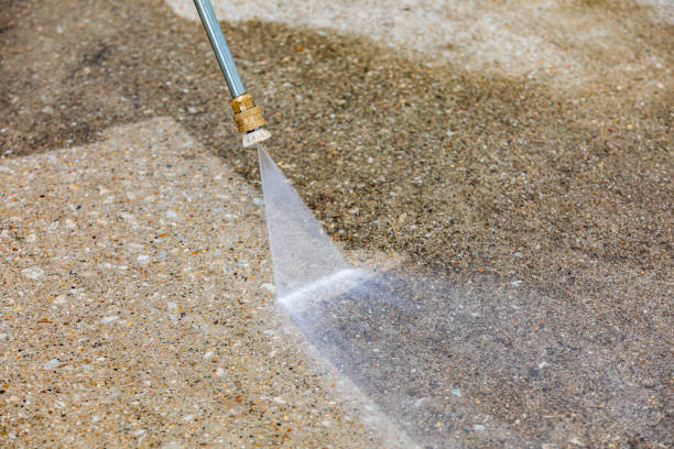 Best Driveway Pressure Washing  in North Pearsall, TX
