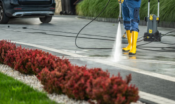 Best Dumpster Area Cleaning  in North Pearsall, TX