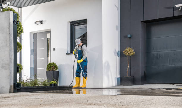 Best Roof Washing  in North Pearsall, TX